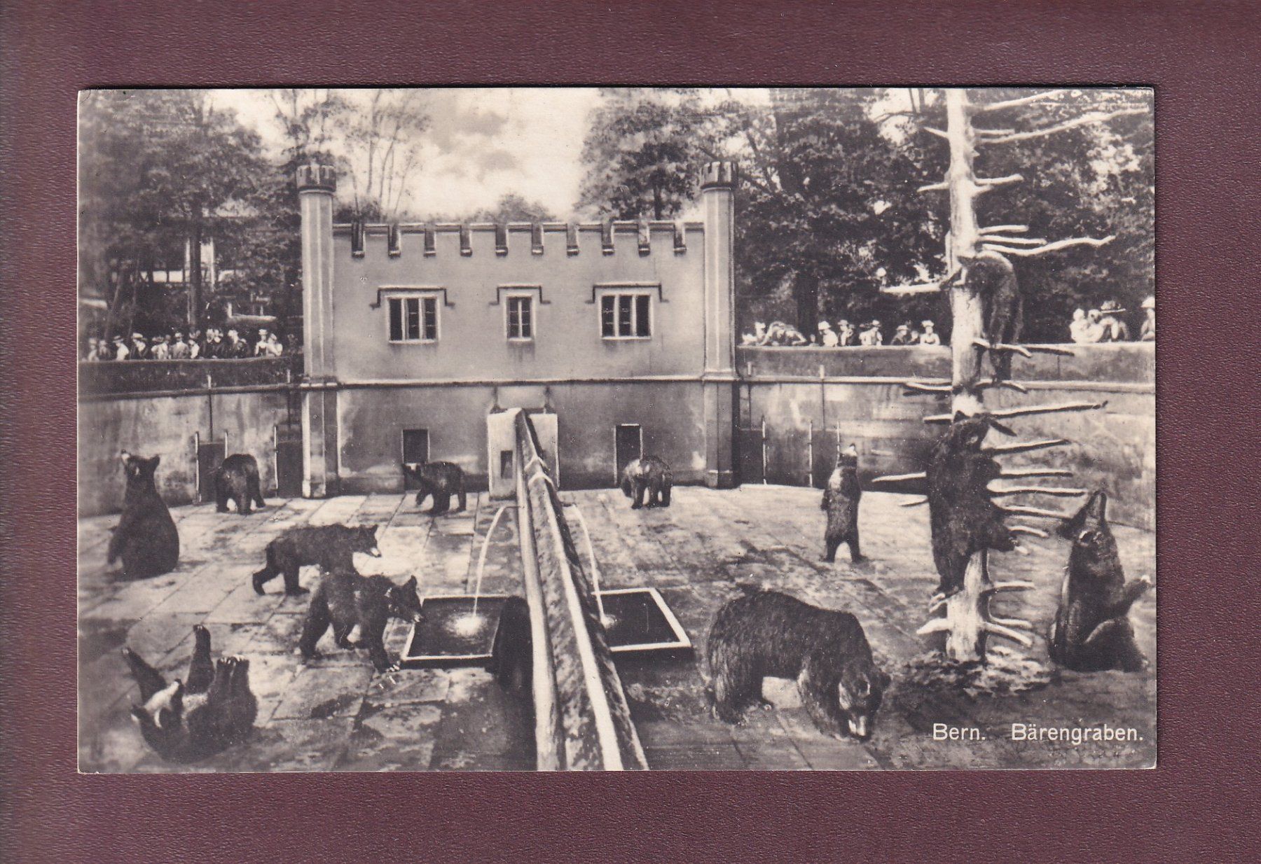 Cartoline postali: BERN - Bärengraben - 1925 – Usato da Pully venduto da nicecards