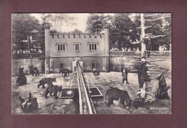 BERN - Bärengraben - 1925