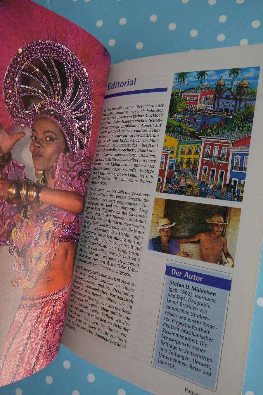Libri: handlicher Reiseführer Brasilien - Polyglott älter - Reisen – Usato da Jona venduto da JOberg_25 2