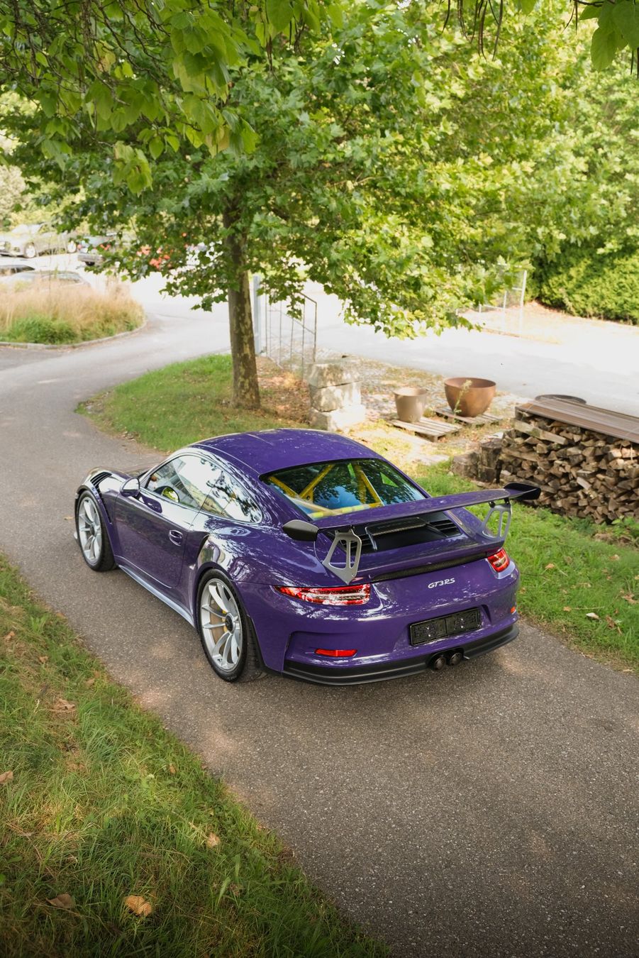 Porsche Automobili: Porsche GT3 RS 991.1 – Usato da Buchrain venduto da dextar 2