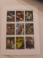 Feuille de timbres d'Afghanistan - Chouettes rares!