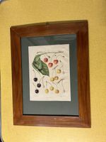 Antike Kirschen Lithographie, gerahmtes Bild, 47x36cm