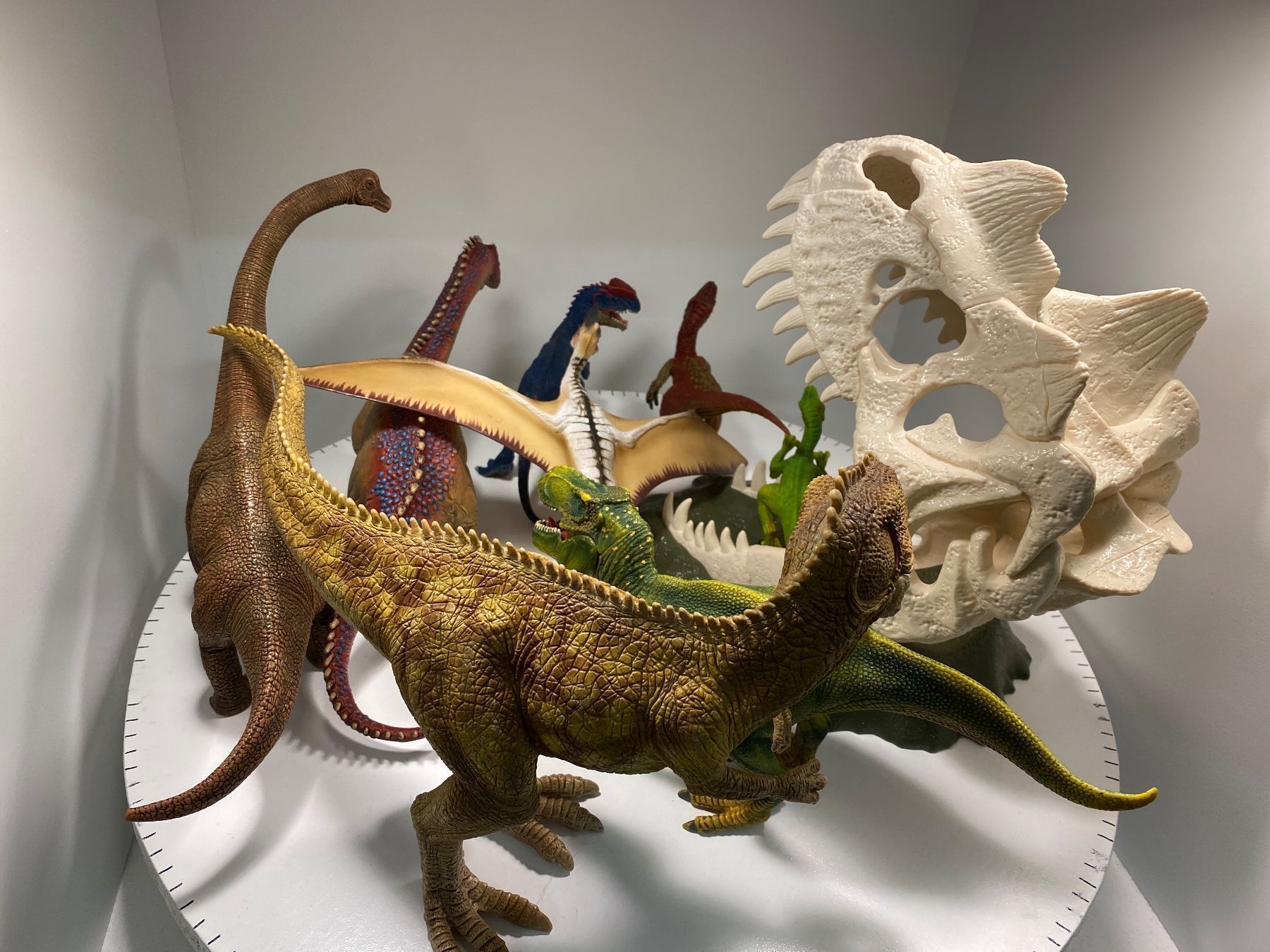 Schleich Statuette: Schleich Dinos Set mit Schädelfalle – Usato da Ossingen venduto da figurina 3
