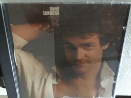 David Sanborn Straight to the Heart CD. 💿