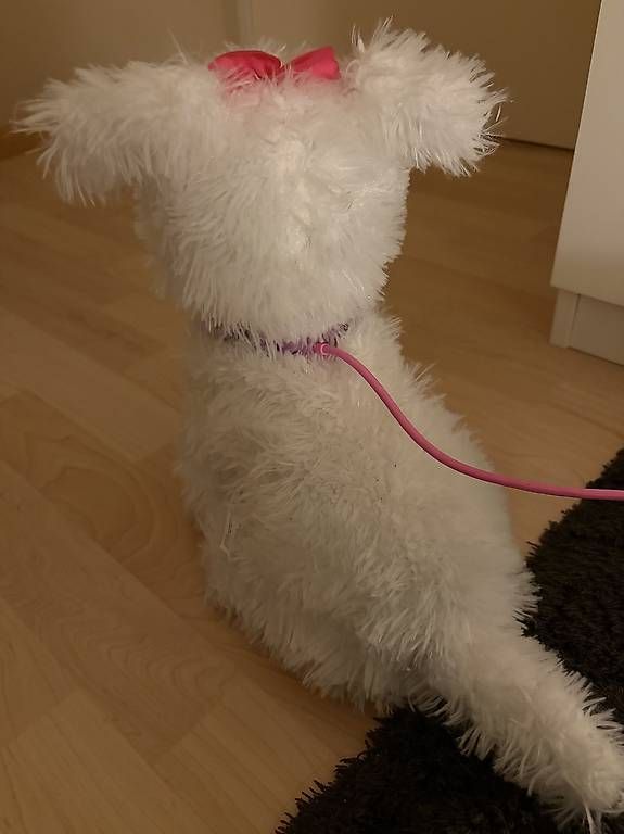 Giocattoli: Beweglicher Plüschhund – Usato da Boswil venduto da sel_f9r5 3