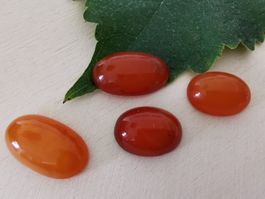 4 Stk. Natur-Bernstein Cabochon aus der Ostsee/Sondererkauf