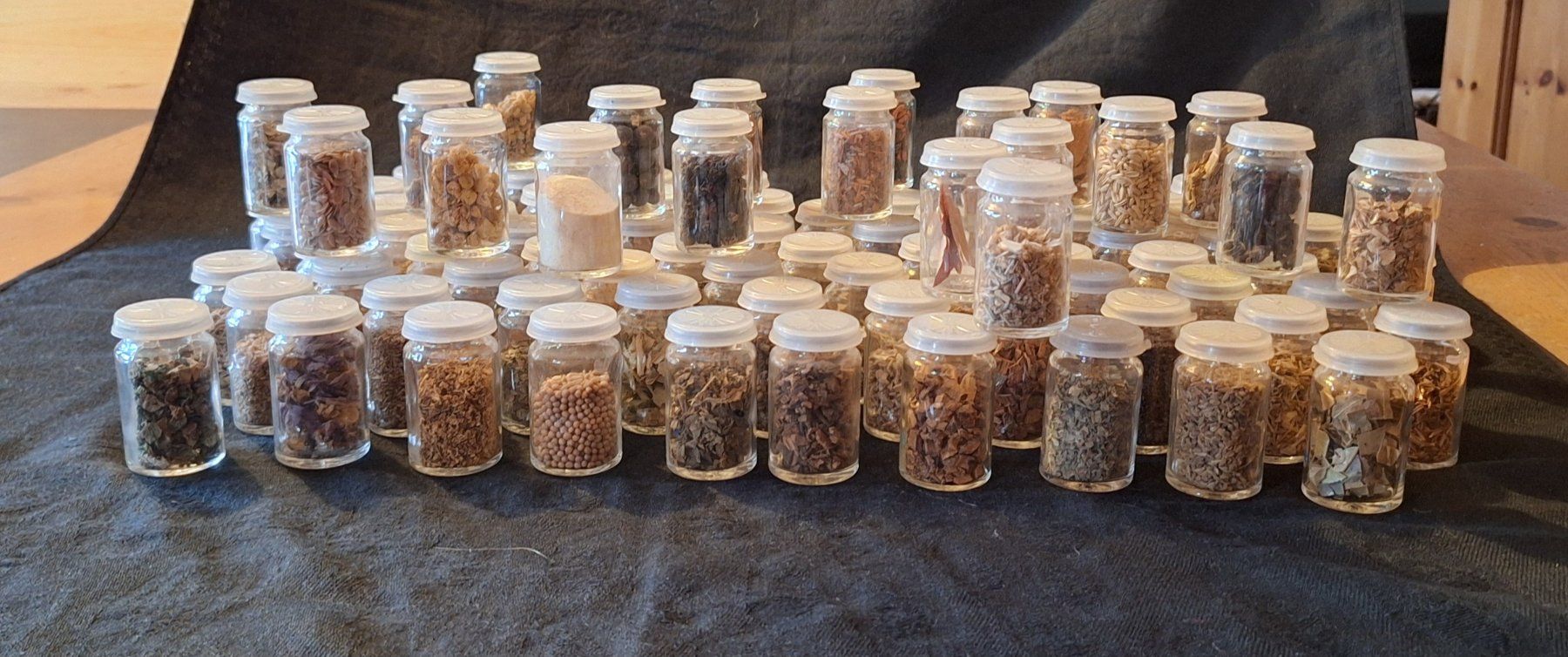 Piante & sementi: Grosses Herbarium für Studium – Usato da Opfikon venduto da Carslo5 3