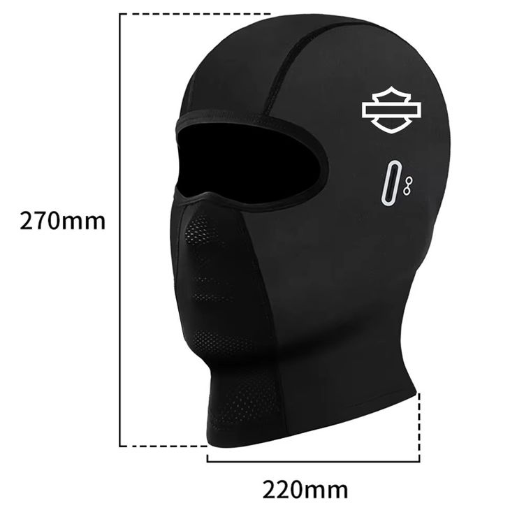 Cagoule Harley-Davidson J174 2
