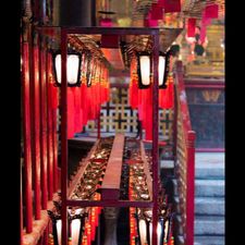 Profile image of d9f_jp6l
