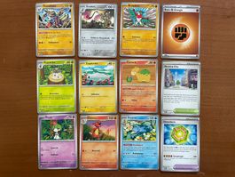 Pokemon 12er Karten Set (Versand gratis)