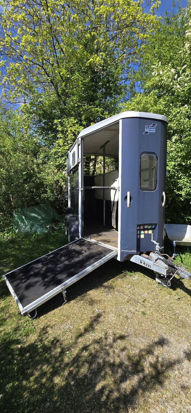 Ifor Rimorchi: Pferdeanhänher – Usato da Wald ZH venduto da rahili 6