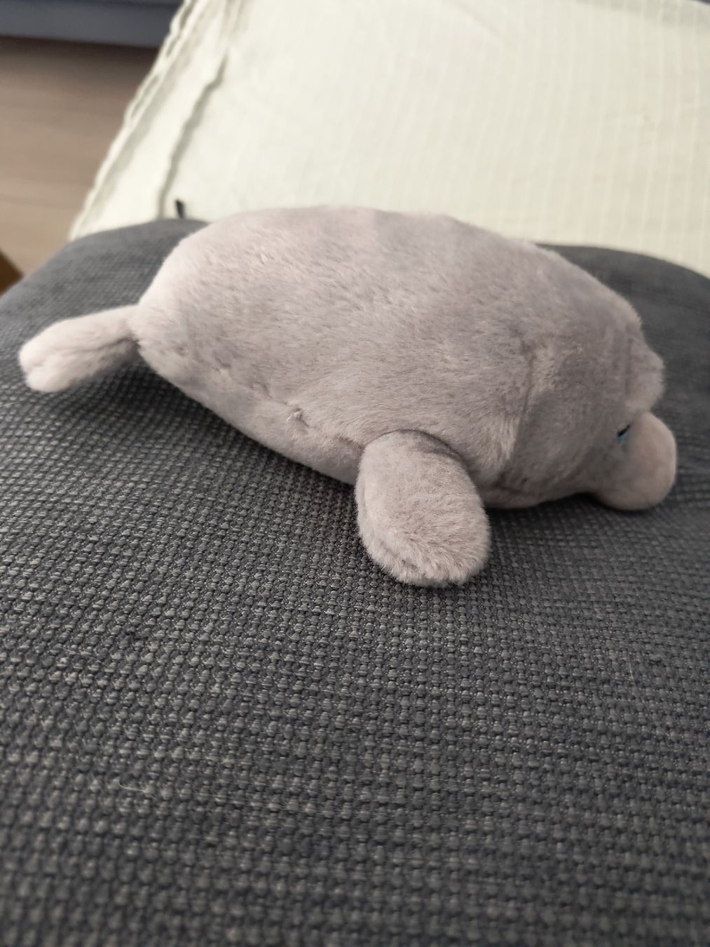 Giocattoli: Plüsch Seehund Ty Beanie Boos – Usato da Schöfflisdorf venduto da kin_2dp9 1