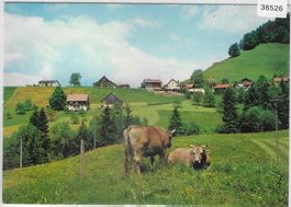 Stiftung Zürcher Pfadfinderheime - Hischwil/Wald