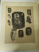Eulen-Radierung / Litho ,  handsigniert ,   38,5 x 50