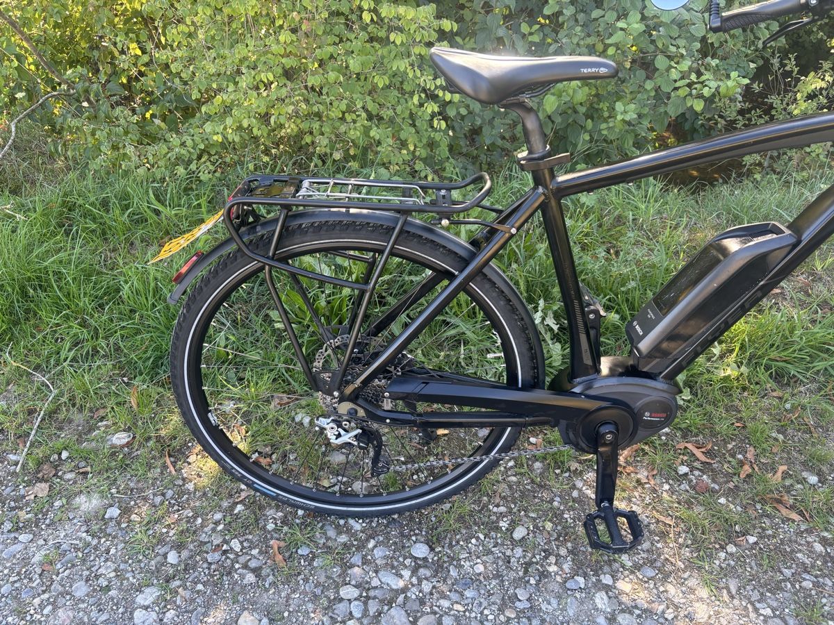 Flyer Biciclette: Flyer Bosch Motor 45 Km/h  – Usato da Kleindietwil venduto da her_d77z 7