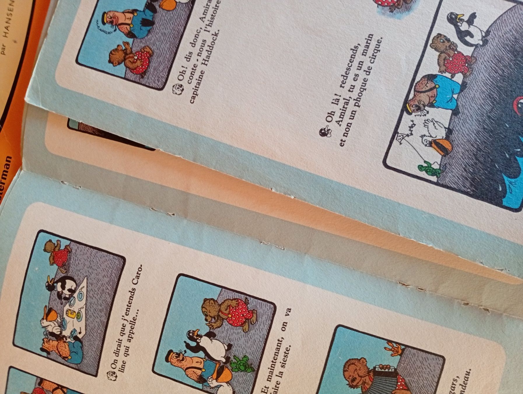 Fumetti: Lot 8x Petzi – Usato da Perrefitte venduto da 36B 4