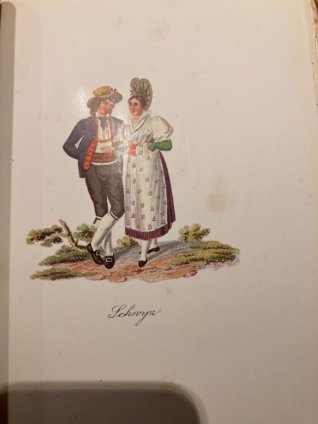 Libri: Schwyzerländli 1915 – Usato da Adliswil venduto da eku_8mgk 9