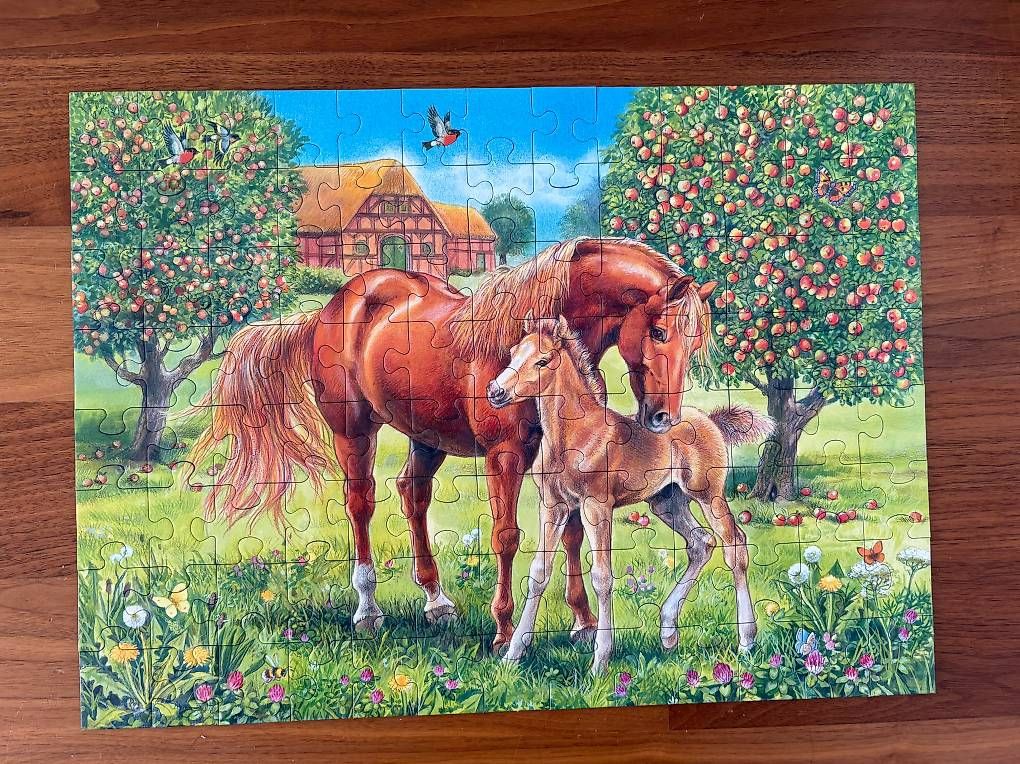 Puzzles: Puzzle – Gebraucht aus Stans von Papaya6370