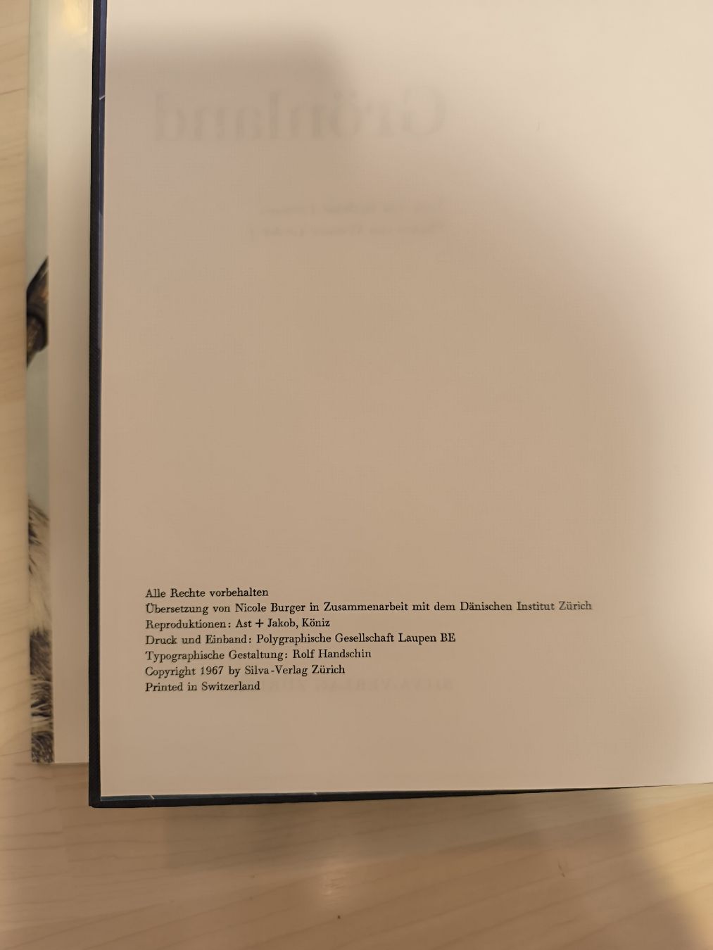 Libri: Grönland Buch – Usato da Rorschach venduto da lau_yb89 2