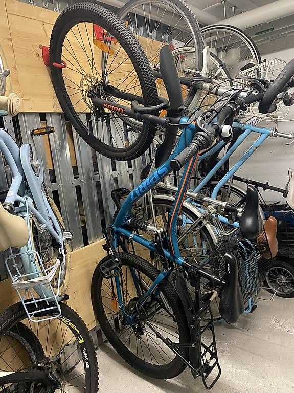 Biciclette: Mountainbike 29" HAWK S/M – Usato da Zürich venduto da Betojpp87 2