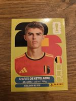 Panini Sticker 2026 BEL 17