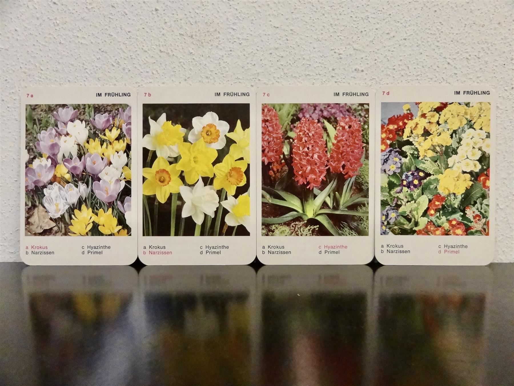 Giochi: altes Quartett BLUMEN-QUARTETT BLUMEN – Usato da Kerzers venduto da wisaundso 7