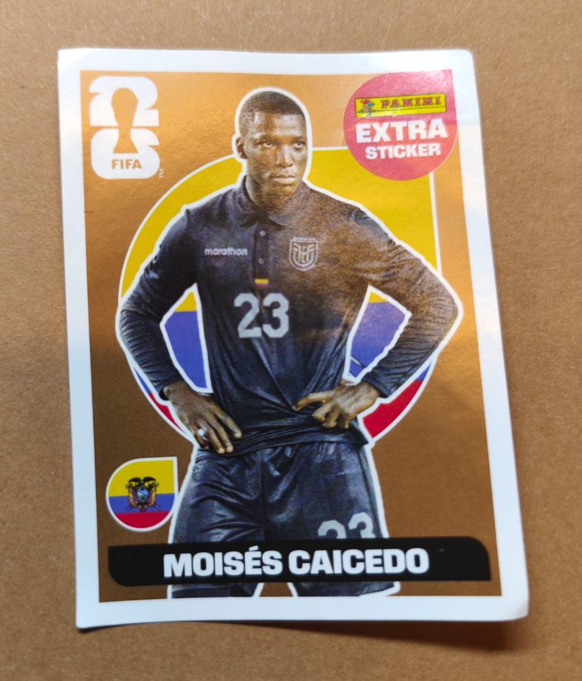 Panini Sammelbilder & Trading cards: Panini WM 2026 Extra Sticker – Gebraucht aus Altendorf von mareas02
