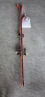 Ski Tourenski 156cm mit Bindung und Felle guter Zustand
