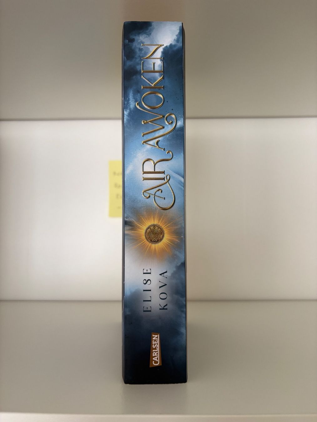 Libri: Air Awoken - Elise Kova – Nuovo (secondo la descrizione) da Steffisburg venduto da elsa.catalina 2