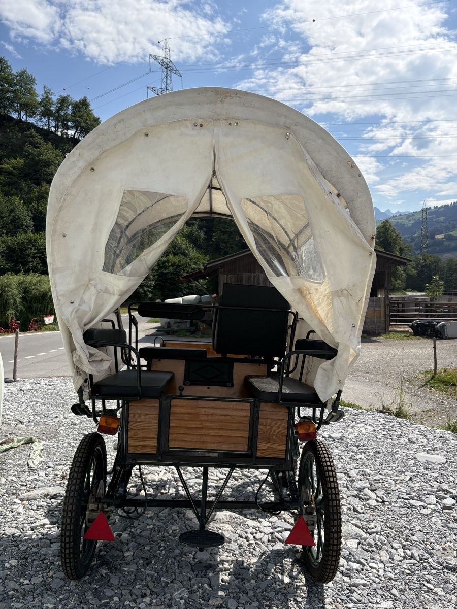 Calèches: Wagonette Planwagen Kutsche – D'occasion à Fürstenaubruck par Reddog6 6