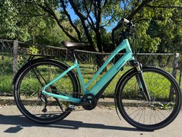 E-BIKE / SPECIALIZED/ 25 km/h