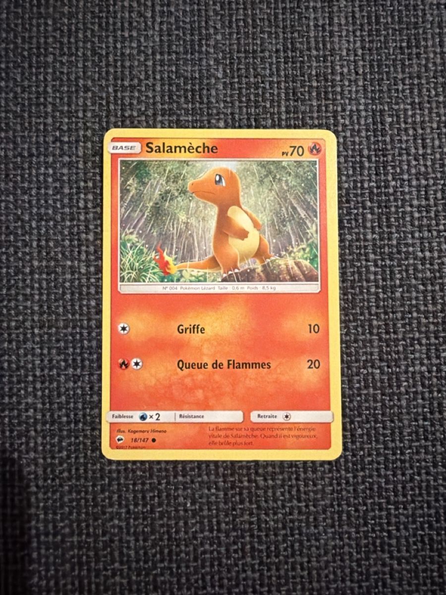 Pokémon Carte collezionabili: Carte card Pokémon Salamèche Charmander FR 2017 – Usato da Genève venduto da Vallva
