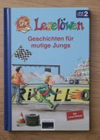 Leselöwen 2 Lesestufe: Geschichten für mutige Jungs