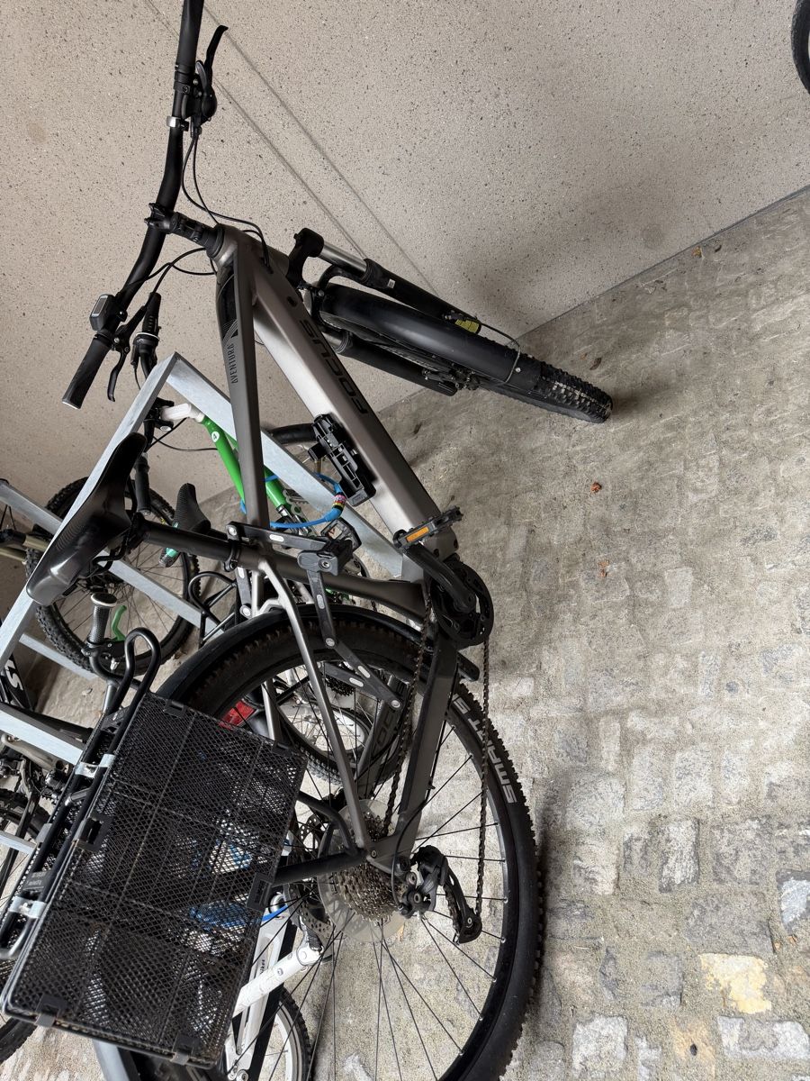 Biciclette: Focus Aventura  – Usato da Jona venduto da itamar01 6
