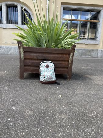 Kleiner Rucksack Bestway original 
