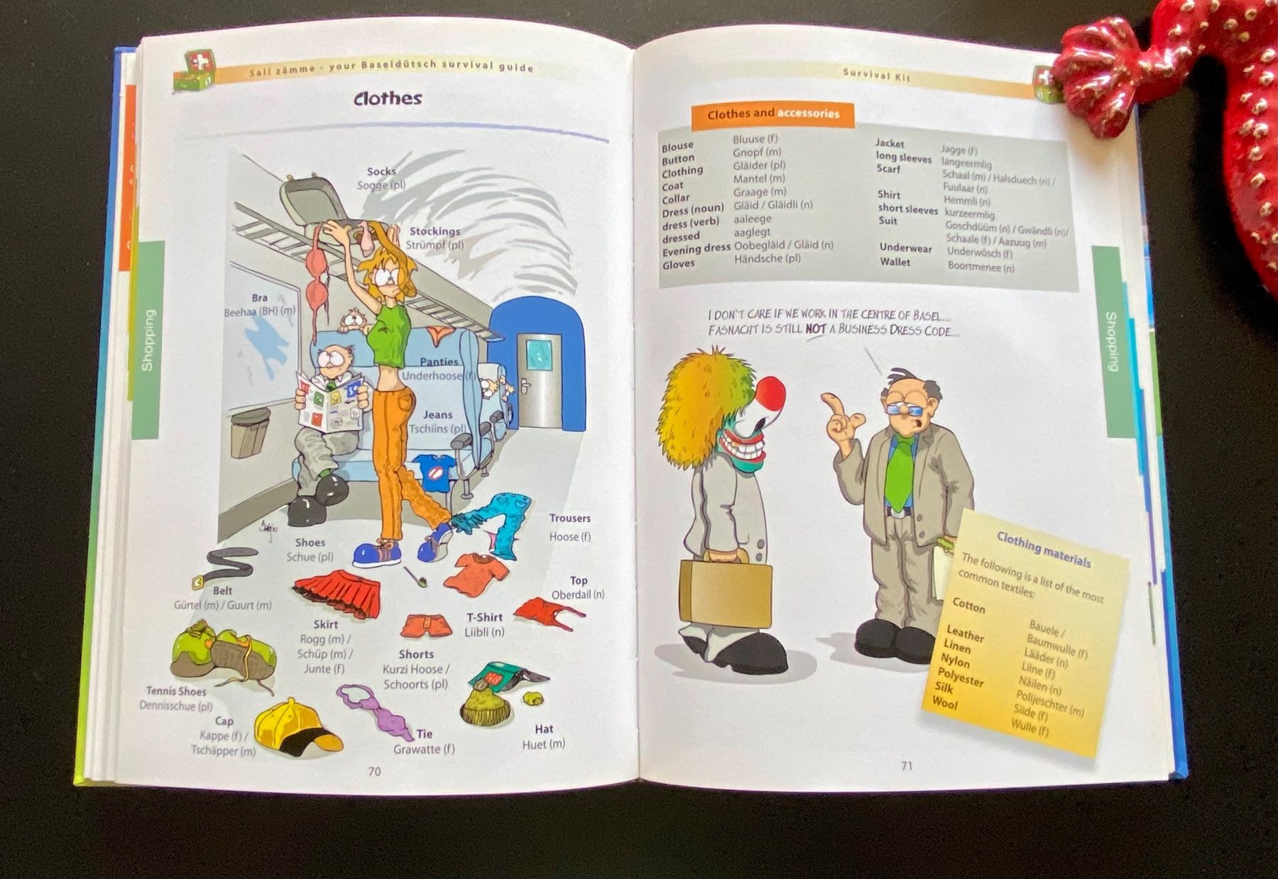 Bücher: Sali zämme your Baseldütsch survival guide – Gebraucht aus Nussbaumen AG von schuba2000 5