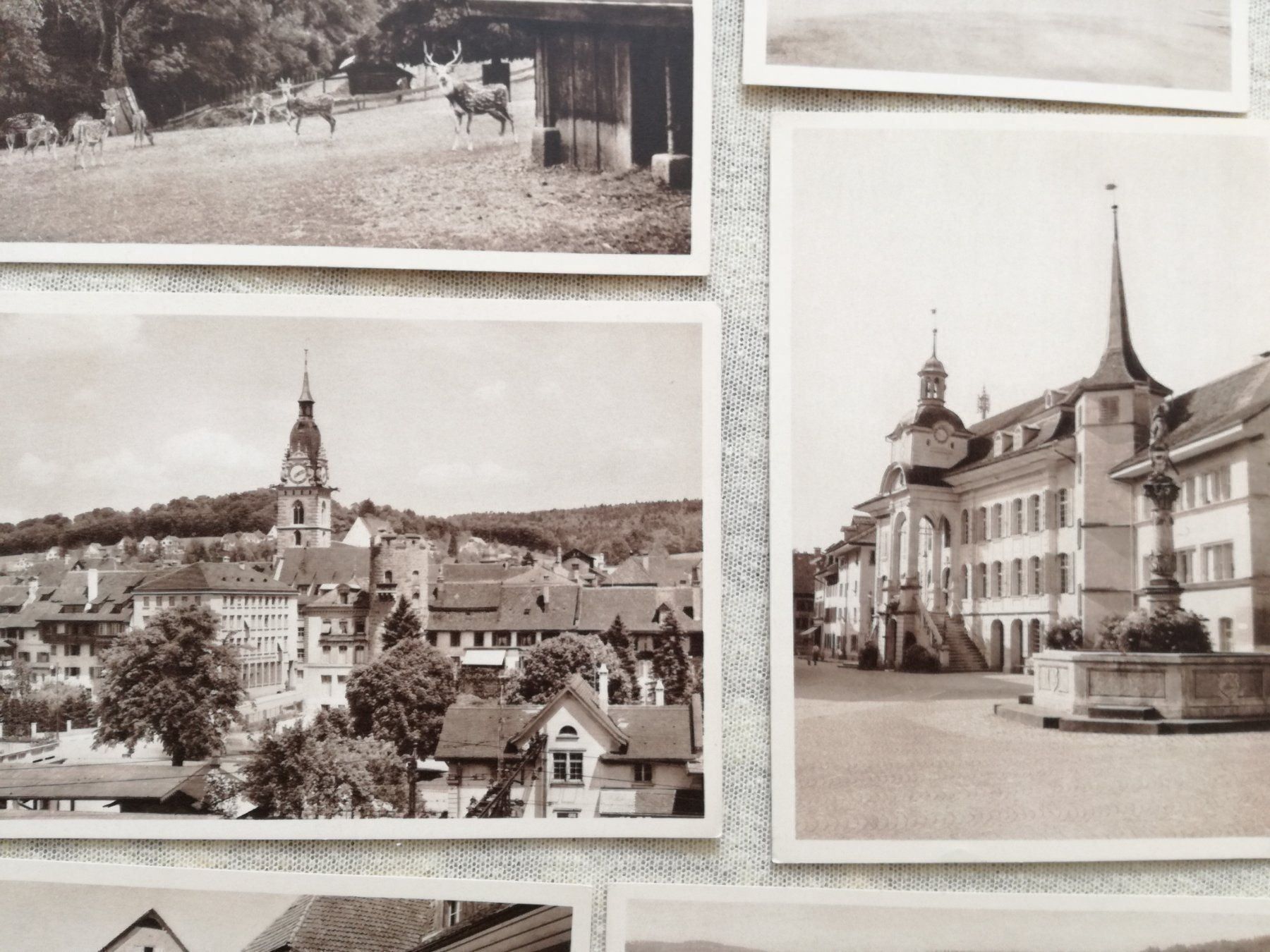 Cartoline postali: 7 AK Zofingen – Usato da Zürich venduto da tol_b7c7 3