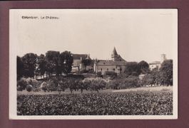 COLOMBIER - Partie avec le Château - 1931