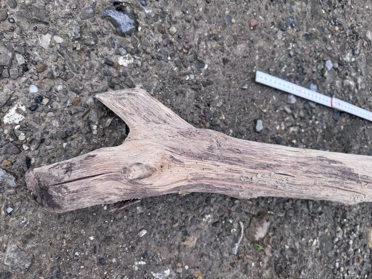 Holzartikel: Schwemmholz  – Gebraucht aus Schwellbrunn von Magdalena888 1