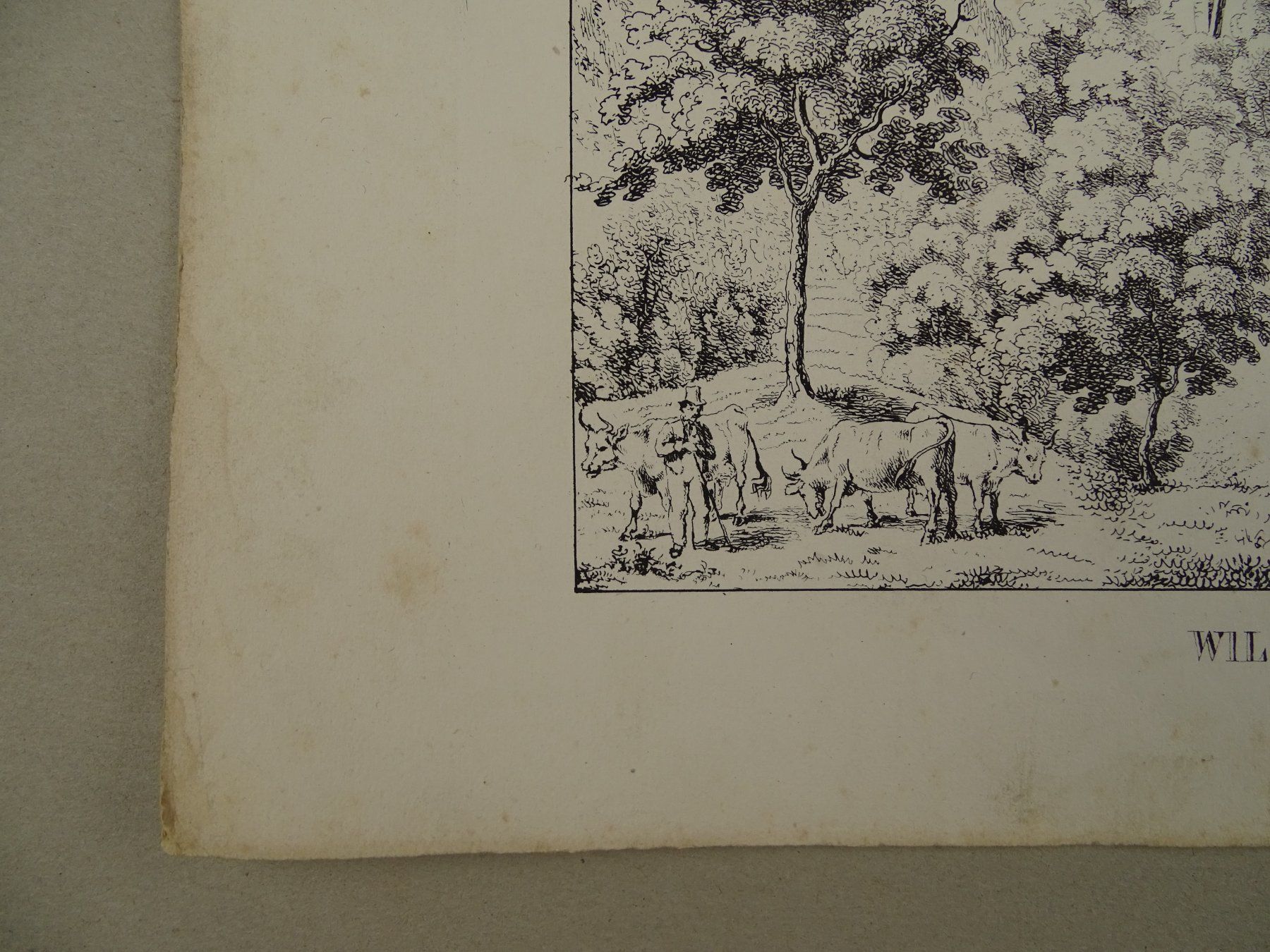 Incisioni: WILDENSTEIN, BASEL, FEDERLITHOGRAPHIE 1840 – Usato da Grüningen venduto da Kartensammler 6