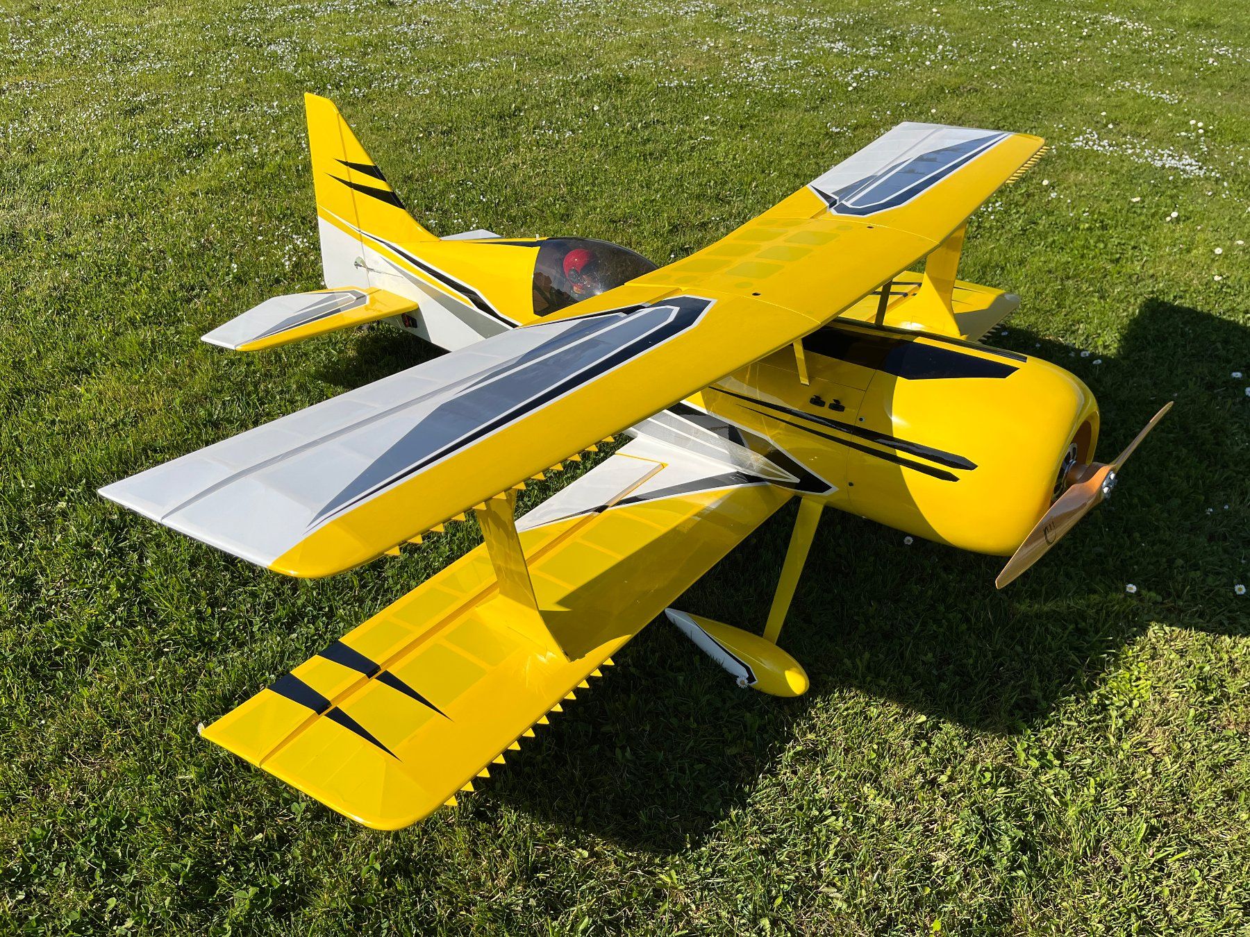 Modellismo RC: Mamba 70cc von Flex Innovations 1961mm – Usato da Zollikerberg venduto da Cmmoser 2