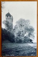 Luzern - Musegg - AK