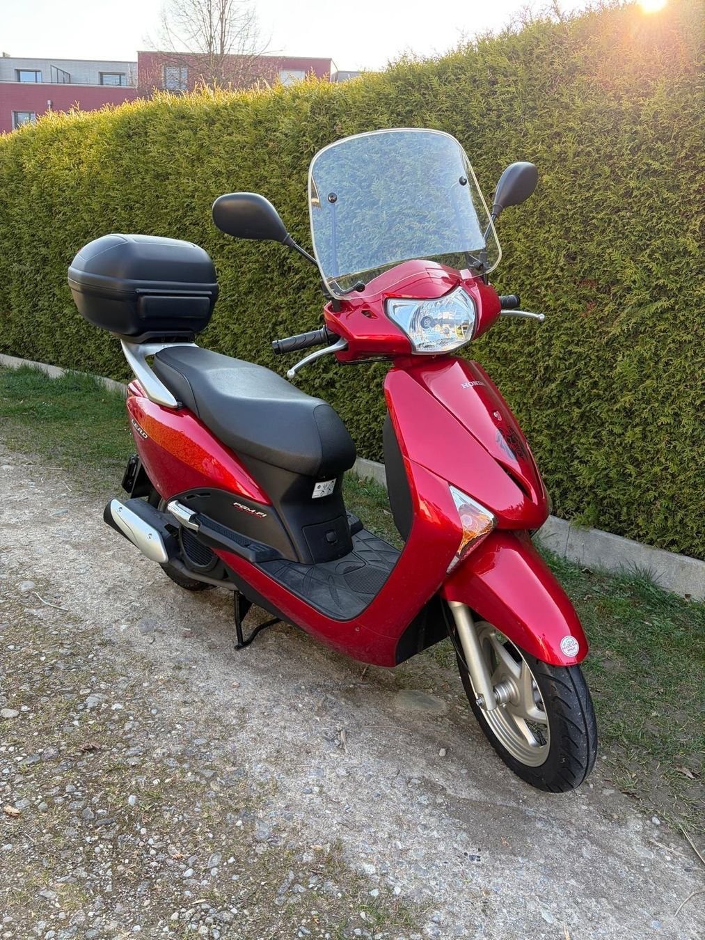 Honda Scooter: Honda Lead – Usato da Winterthur venduto da nonso 1