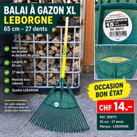 🌿 Râteau à gazon XL LEBORGNE – 65 cm / 27 dents