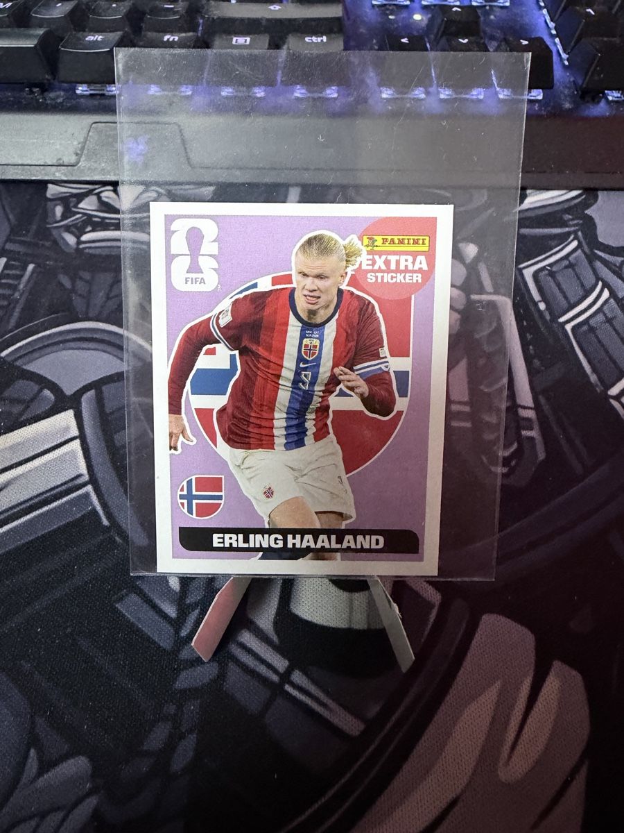 Panini Carte collezionabili: Haaland Extra Sticker – Nuovo (secondo la descrizione) da Fribourg venduto da Tonachi-shop