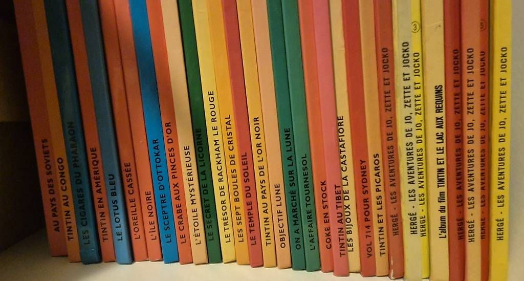 Fumetti: Collection complète BD Tintin Hergé – Usato da Bercher venduto da Dusudouest 2