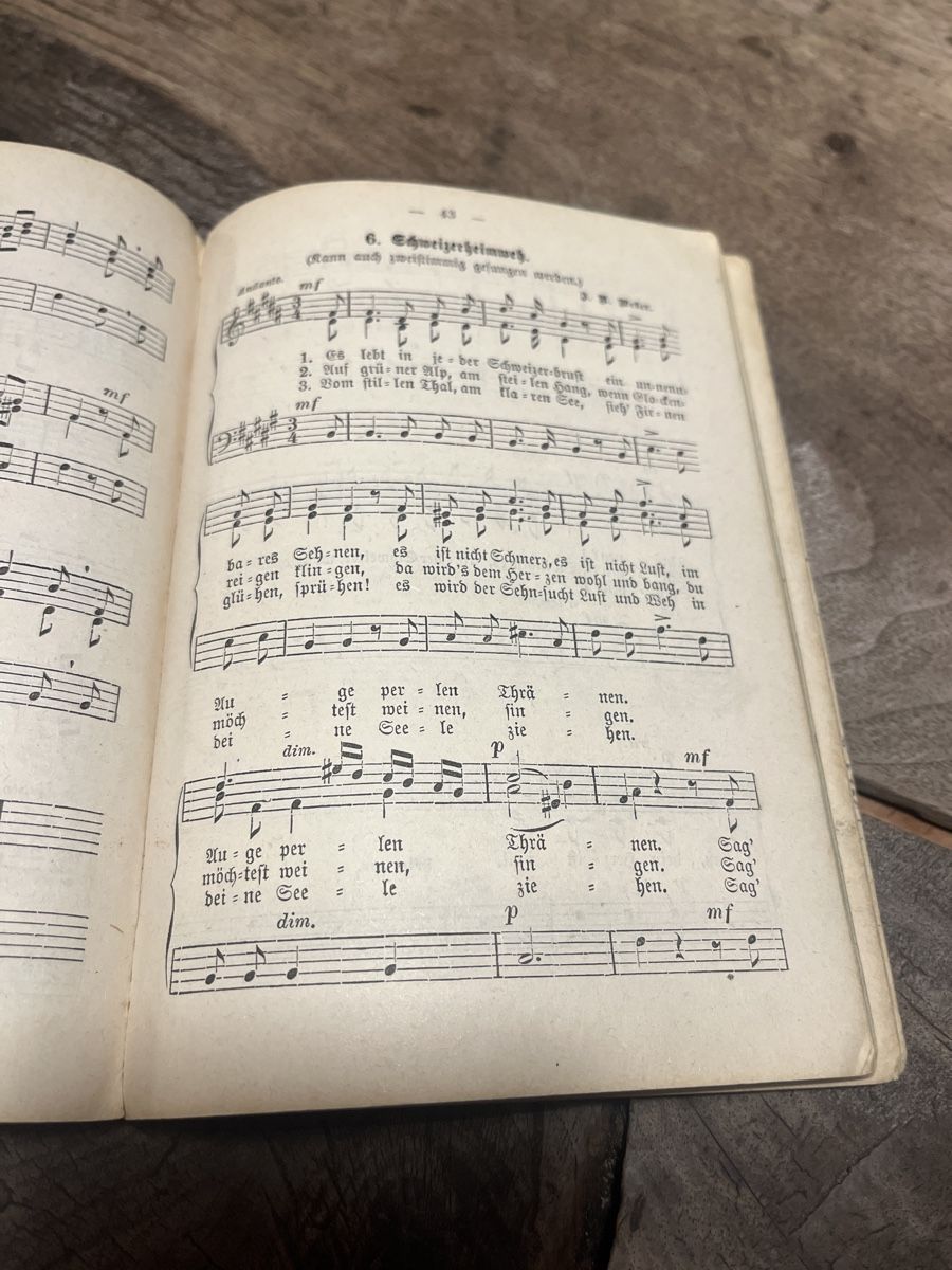 Libri: Antikes Gesangbuch, handschriftlich, 1852 – Usato da Zuoz venduto da Grr1974 4
