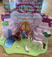 Playmobil Feen Welt Fairies 