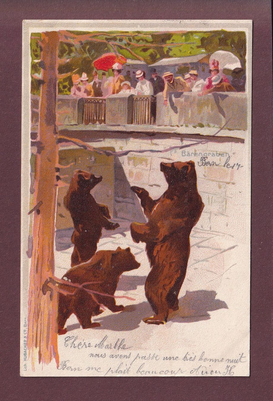 Cartoline postali: BERN - Bärengraben - 1903 – Usato da Pully venduto da nicecards