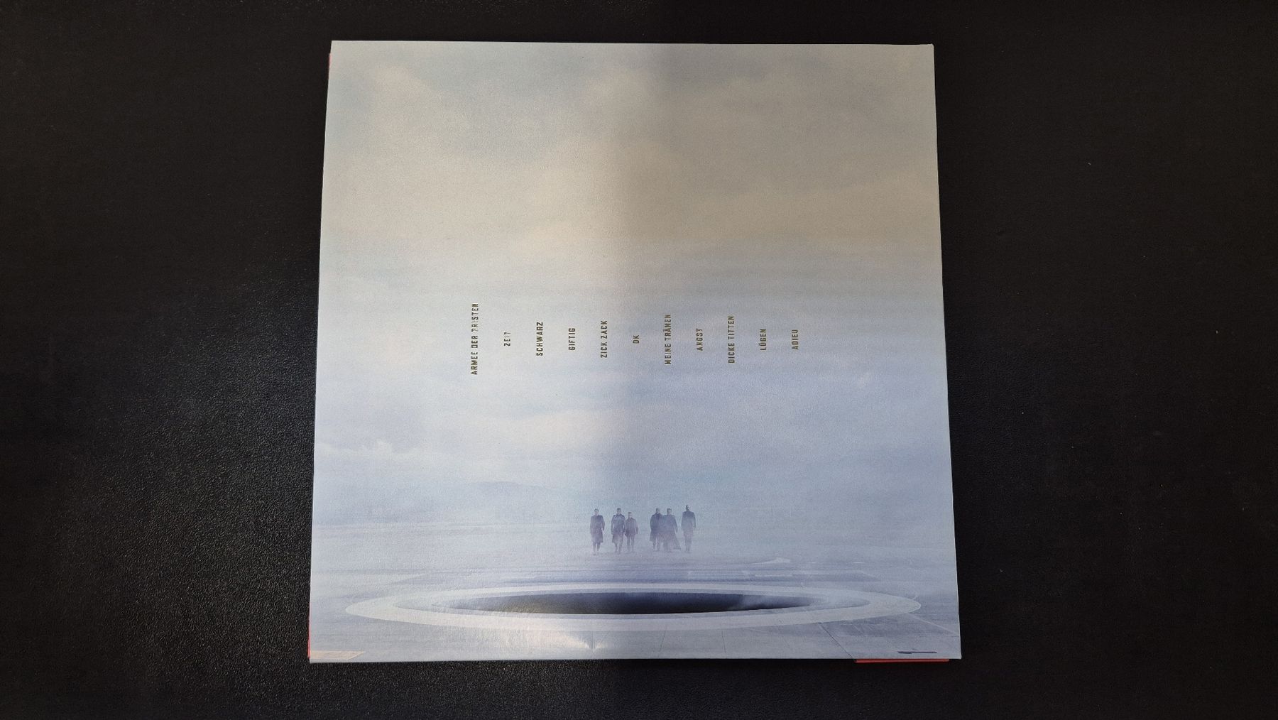 Schallplatten: Rammstein - ZEIT Vinyl/LP – Neu (gemäss Beschreibung) aus Pfäffikon ZH von M54X 1